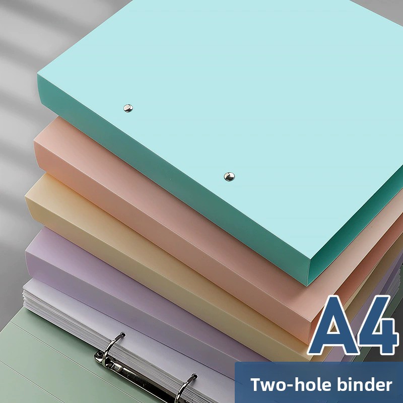 Binder Clip Assorted - 2단 파일 바인더, A4 사이즈 파일