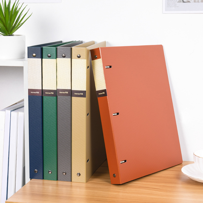 A4 사이즈, 3개의 구멍이 있는 고강도 PP 재질의  - Binder Clip Assorted 리뷰 및 가격